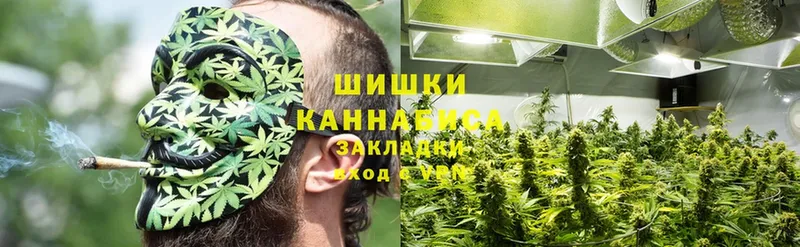 купить закладку  Лукоянов  Каннабис THC 21% 